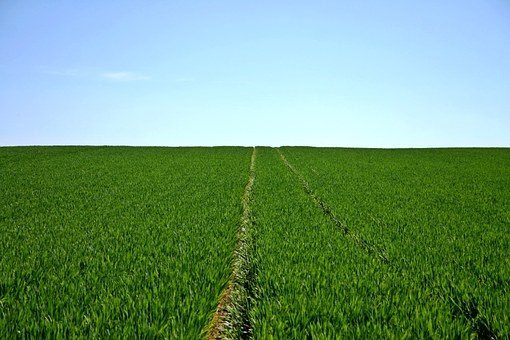 Vernieuwd Horizon 2020 mkb-instrument krijgt ook andere naam