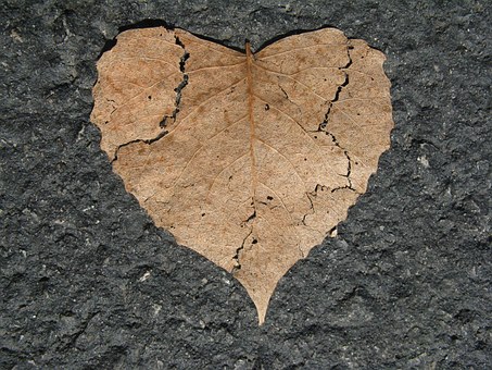 Verliefd, verloofd en de onderneming