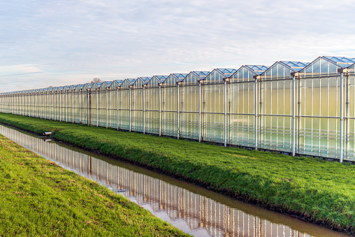 Subsidie voor energie-innovaties in de glastuinbouw