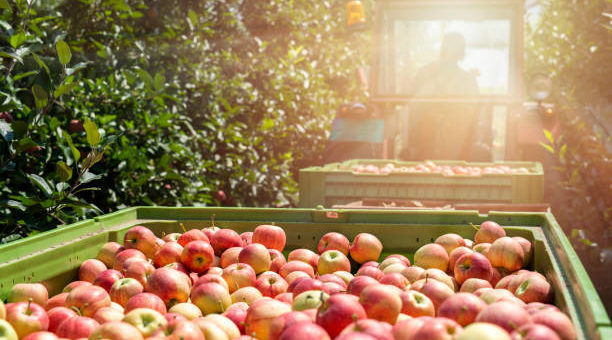 Webinar: Agrarische bedrijfsopvolging