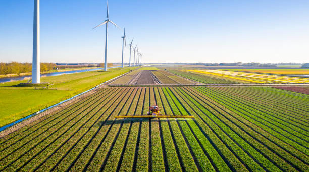 Webinar: Duurzaamheid in de agropraktijk