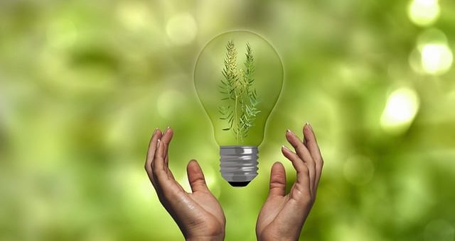 Webinar: Duurzaamheidssubsidies