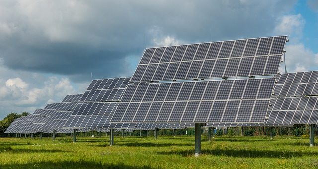 Webinar: Overgang naar (gedeeltelijke) zonneweide
