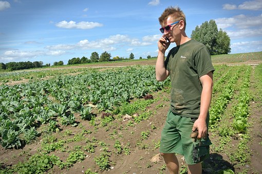 Handreiking verpachte gronden 2023 gepubliceerd