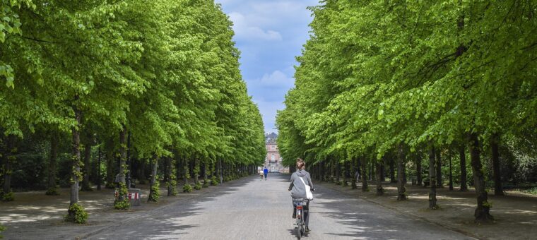 Gemeente legt toezichthouder Groen terecht verbod op nevenwerkzaamheden op