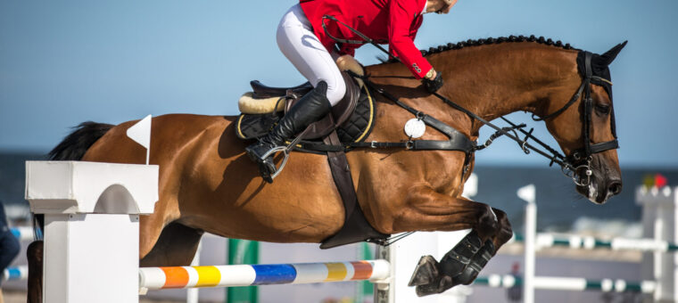 Borgsom voor springpaarden leidt niet tot btw-belaste levering