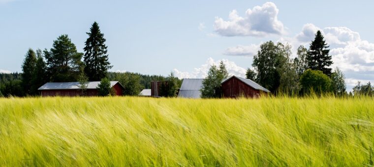 Subsidiabele landbouwgrond GLB: rechtsgeldige titel